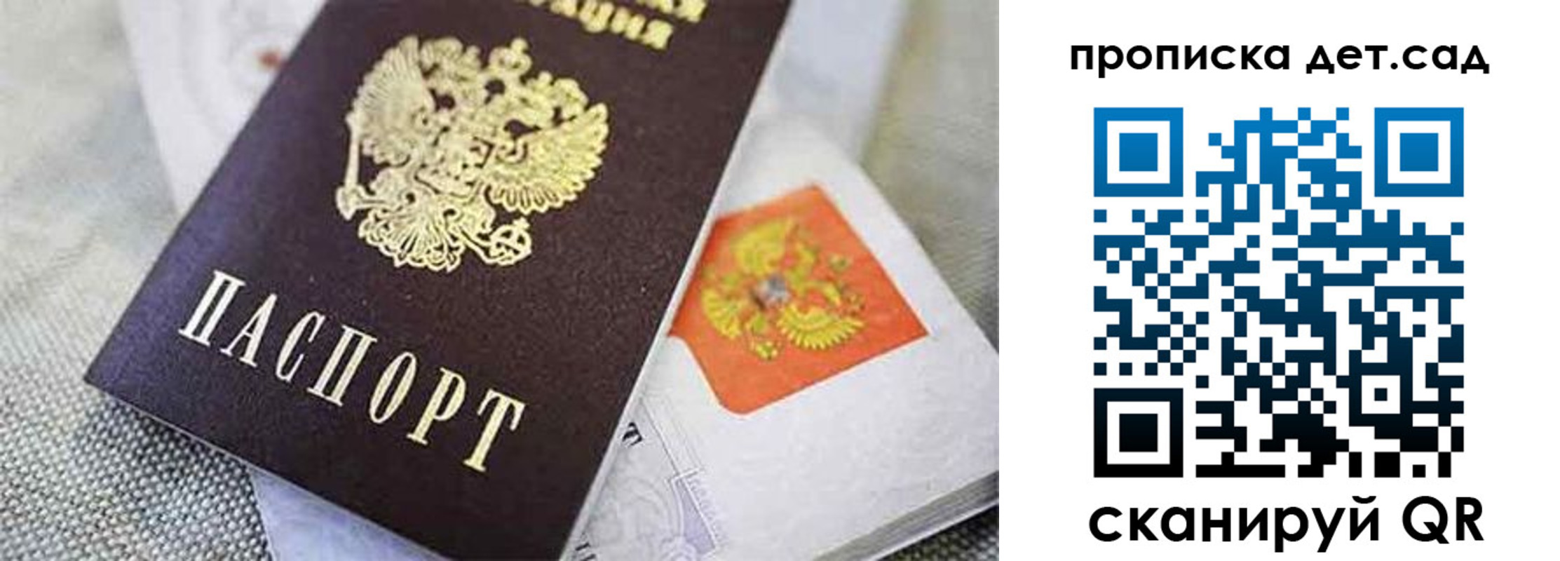 прописка поиск в Камышине